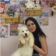 Laureanda in Lingue Orientali impartisce lezioni private di lingua e letteratura italiana per classi elementari/ medie e superiori